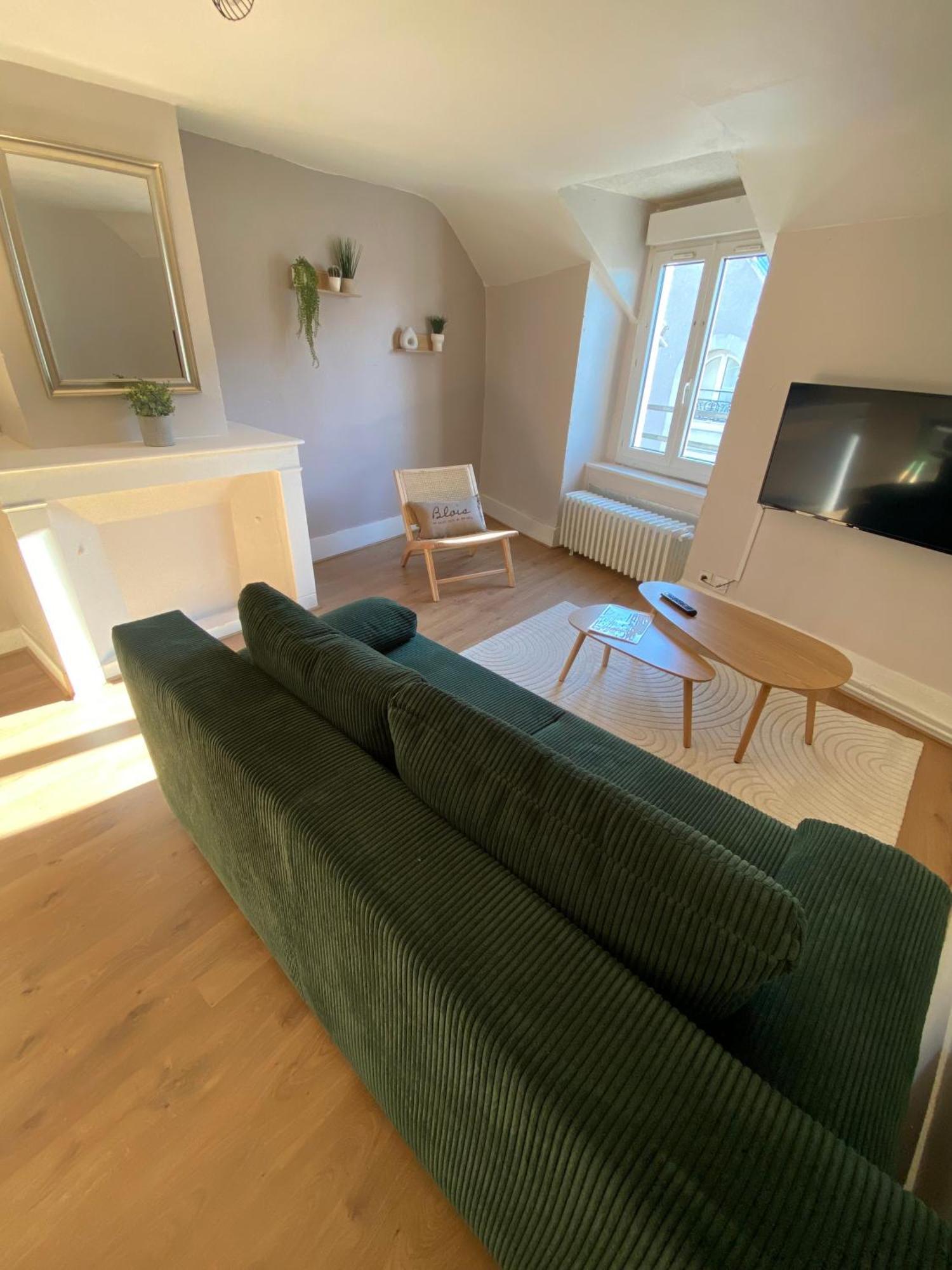 Au Coeur De Blois Apartment Bagian luar foto